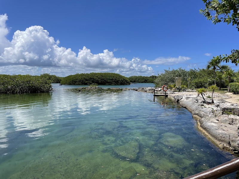 Snorkelling at Akumal