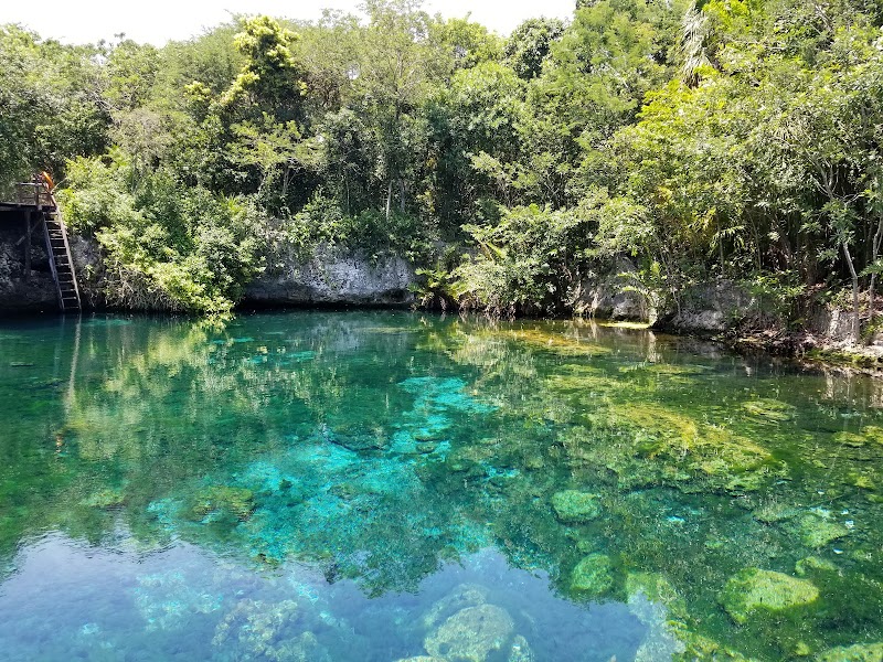 Snorkelling at Akumal