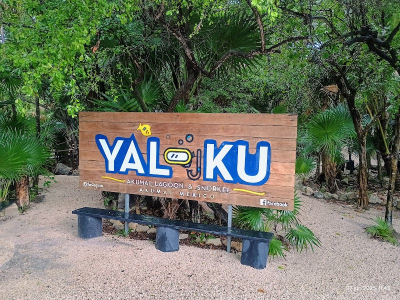 Snorkelling at Akumal
