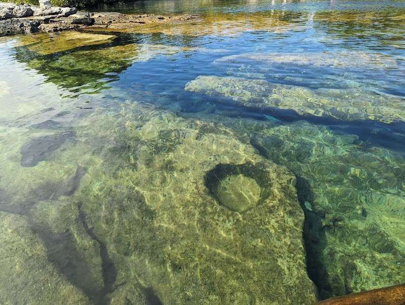 Snorkelling at Akumal