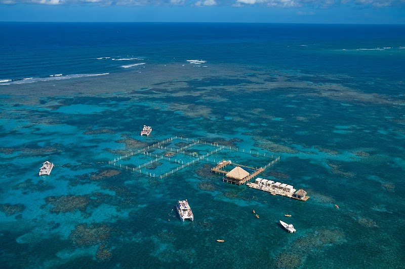 Snorkelling at Marinarium