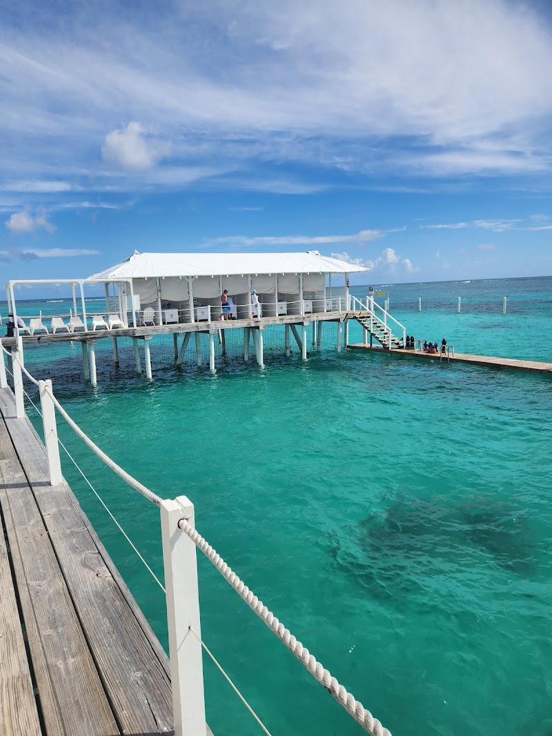 Snorkelling at Marinarium