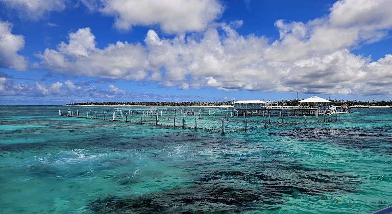 Snorkelling at Marinarium
