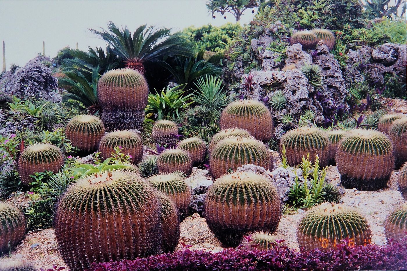 Southeast Botanical Gardens