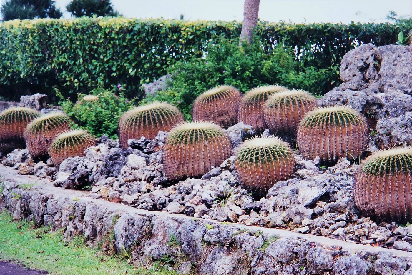 Southeast Botanical Gardens