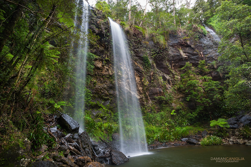 Springbrook National Park