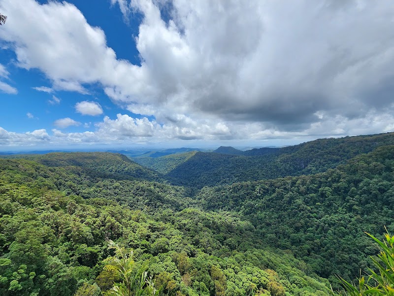Springbrook National Park