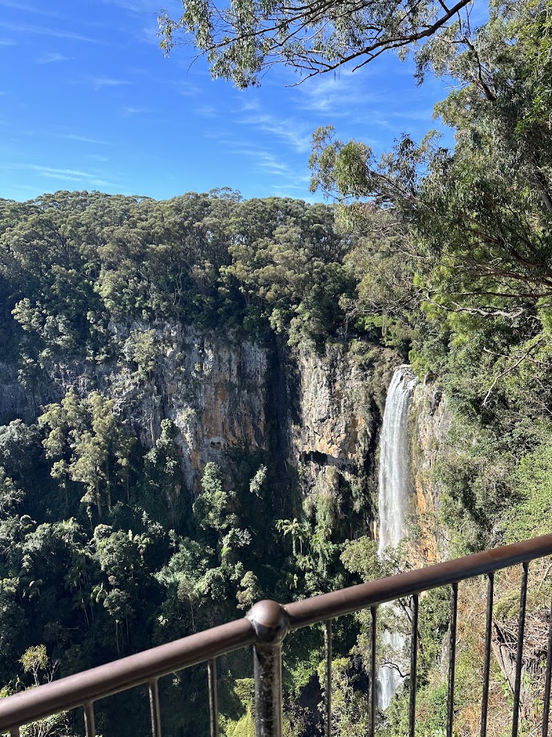 Springbrook National Park