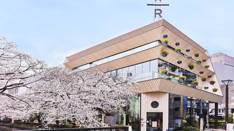 Starbucks Japan