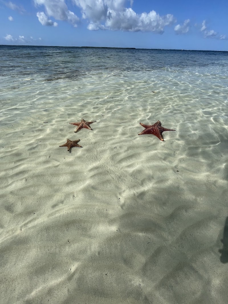 Starfish Point