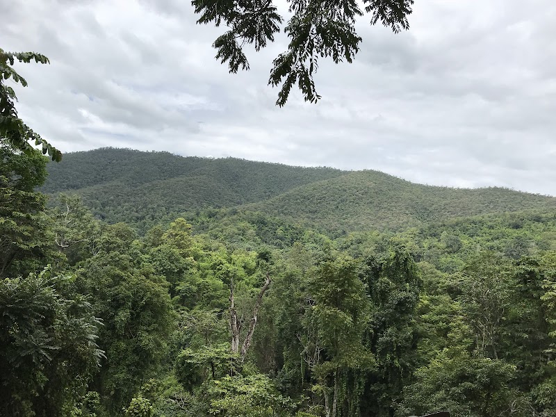Sticky Waterfalls (Bua Tong)