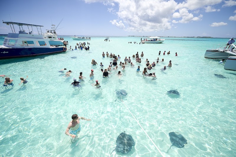 Stingray City Sandbar