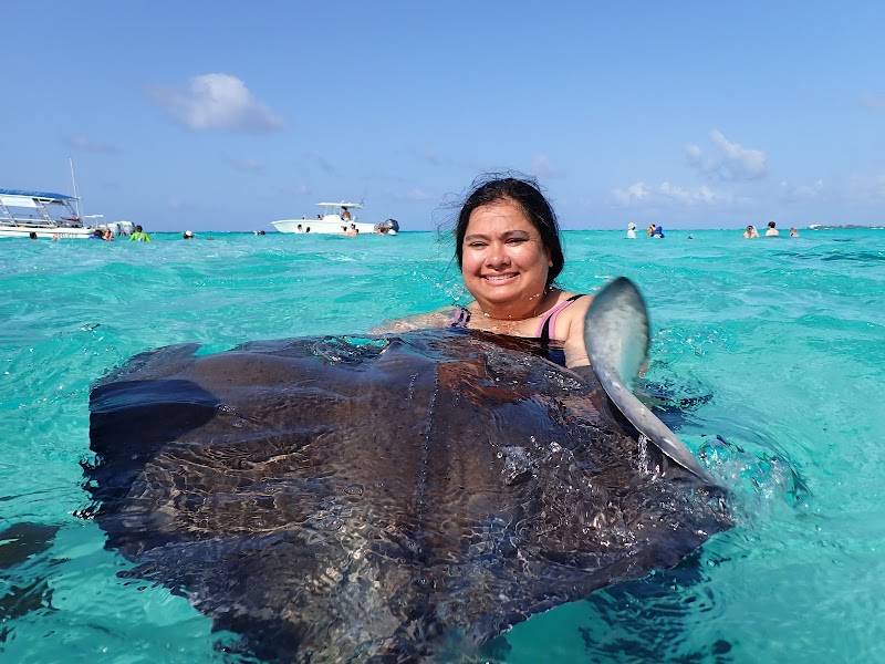 Stingray City Sandbar