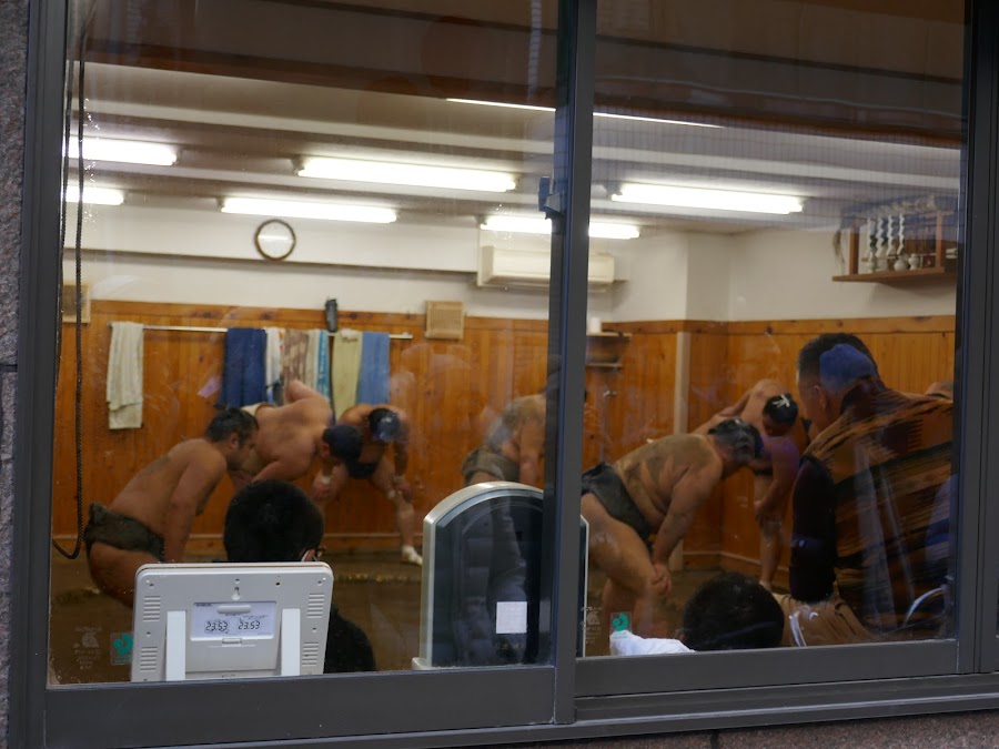 Sumo Morning Practice
