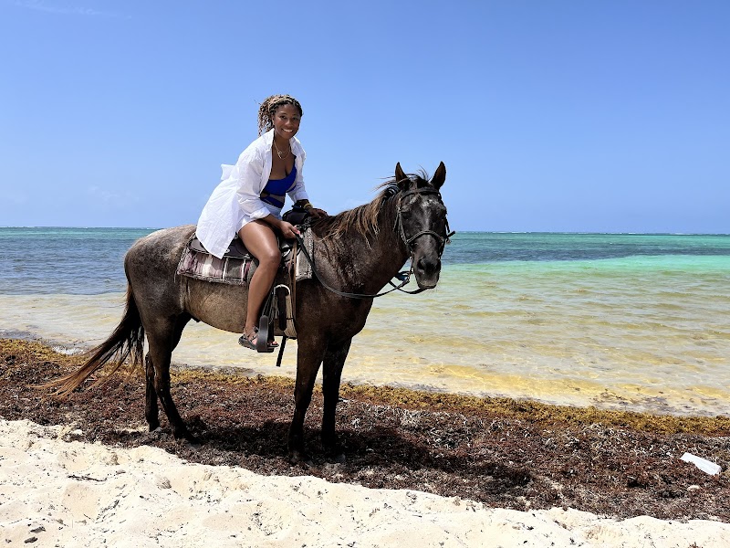 Sunrise Horseback Ride on the Beach