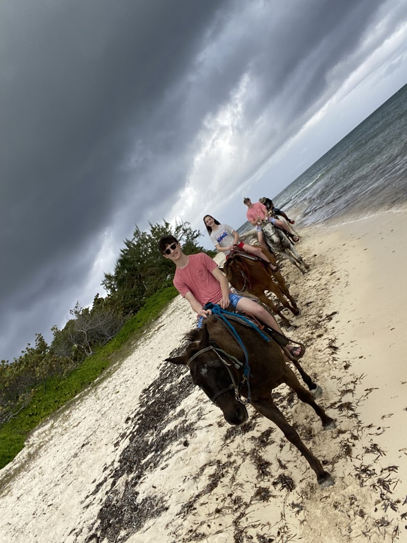 Sunrise Horseback Ride on the Beach