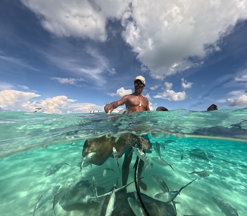 Sunset Sail to Stingray City