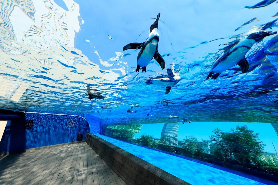 Sunshine Aquarium