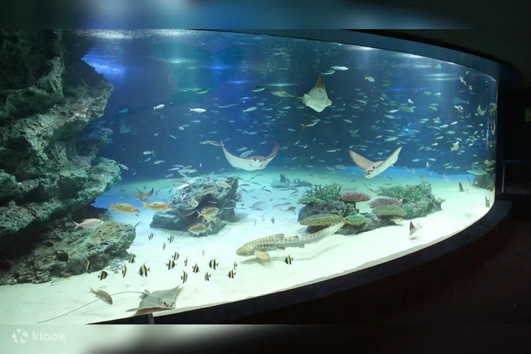 Sunshine Aquarium