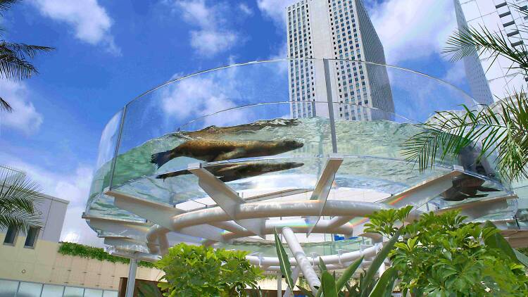 Sunshine City