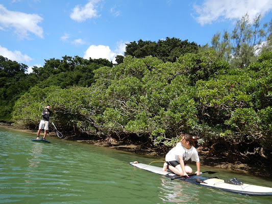 SUP Clear Board Tour
