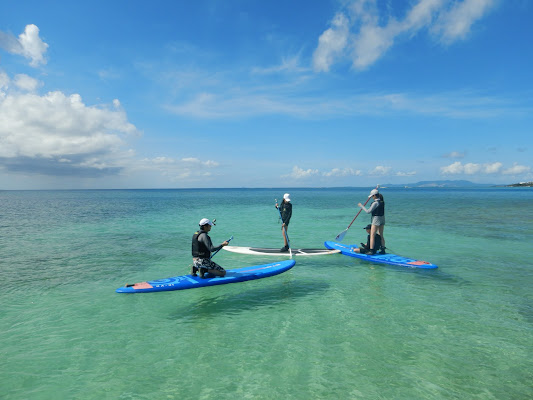 SUP Clear Board Tour