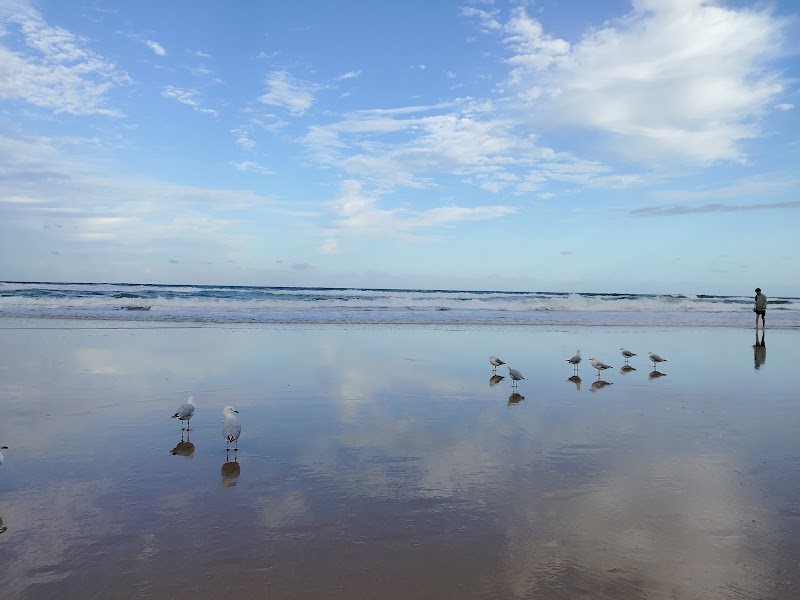 Surfers Paradise Beach