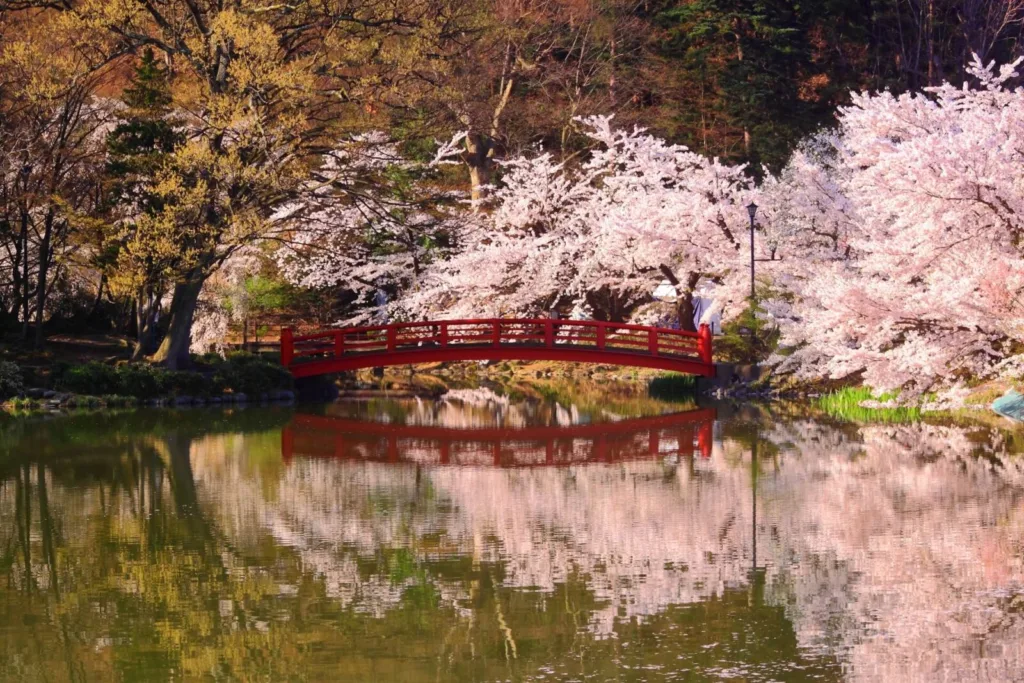 Suzaka Cherry Blossom Garden