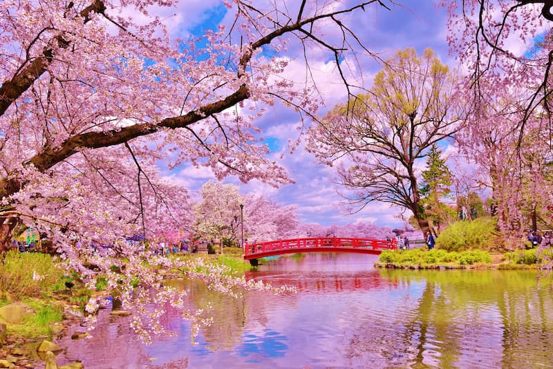 Suzaka Cherry Blossom Garden