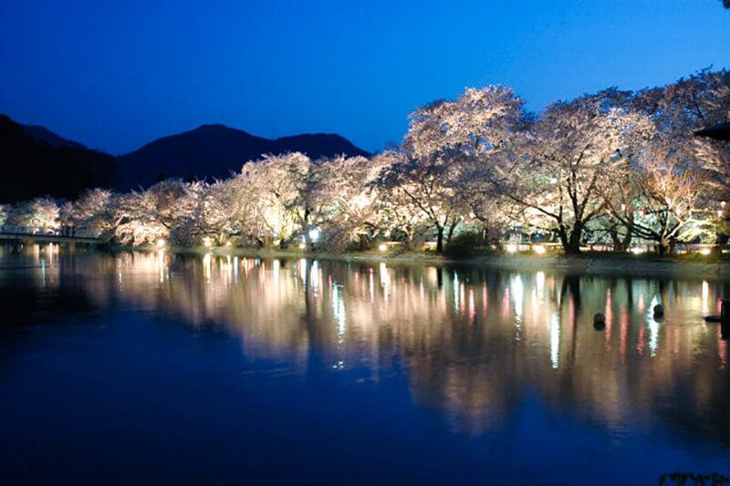 Suzaka Cherry Blossom Garden