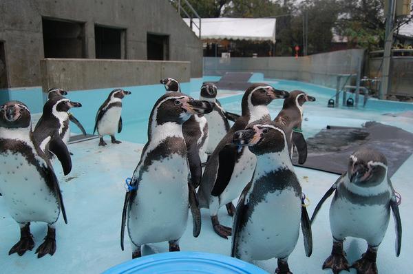 Suzaka Zoo