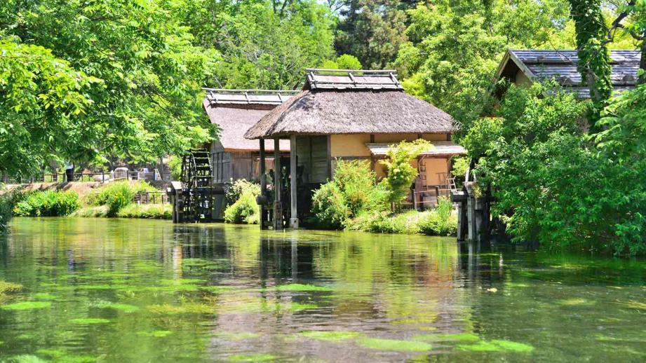 Suzumushi Onsen