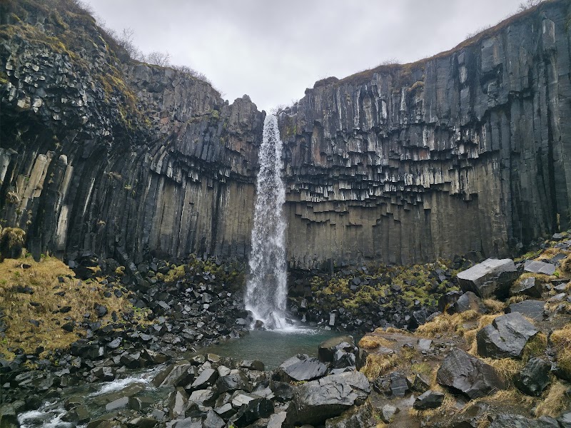 Svartifoss (Black Waterfall)