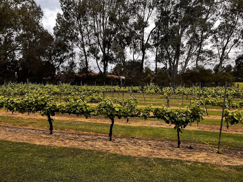 Swan Valley Wine Tour