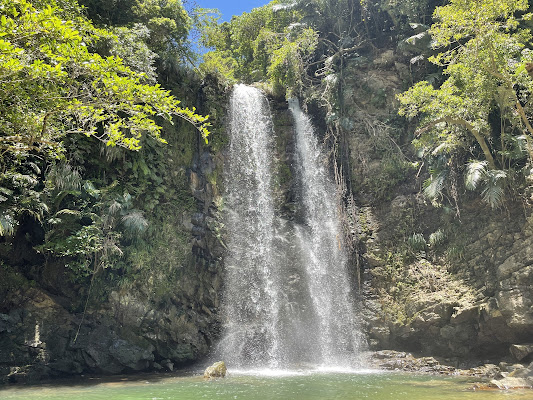 Taataki Waterfall Hike