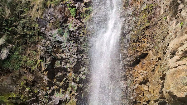 Taataki Waterfall Hike