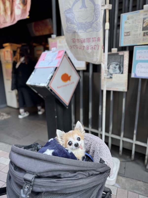 Taiyaki Naniwaya Azabu-Juban