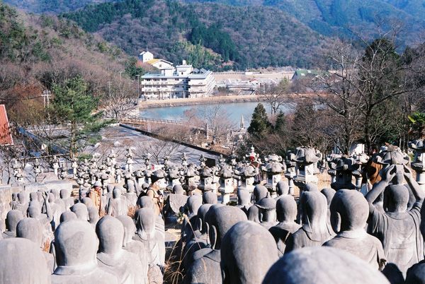 Taiyo Park