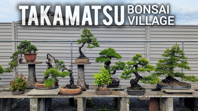 Takamatsu Bonsai Village