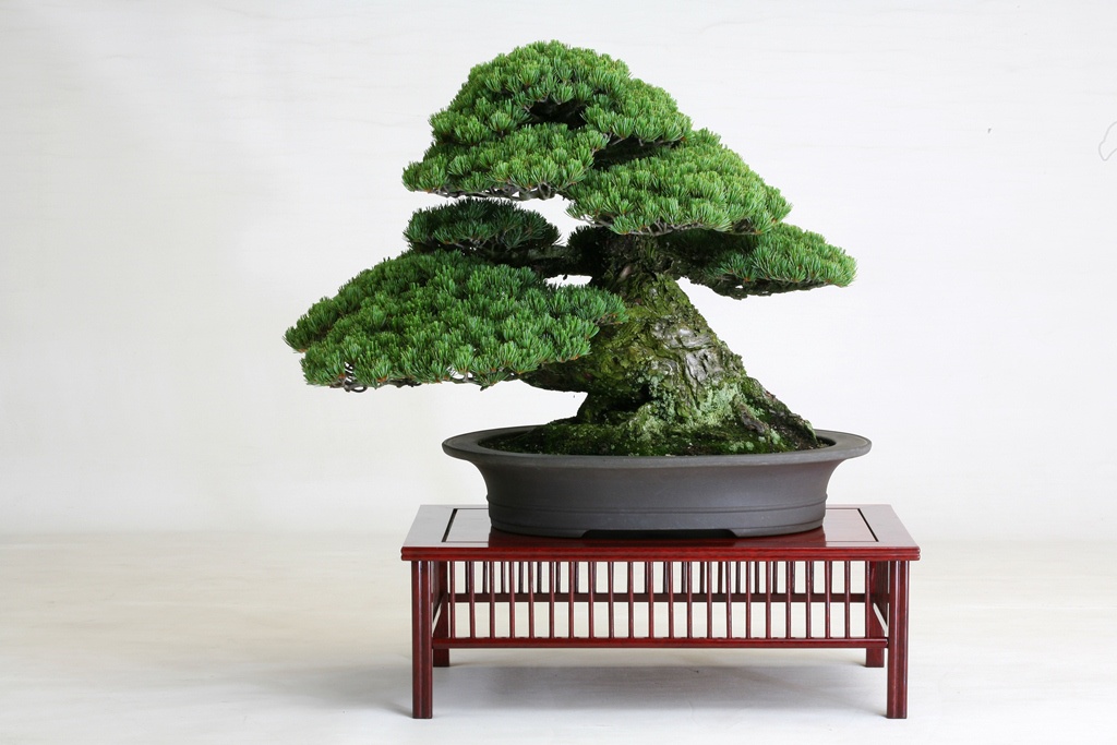 Takamatsu Bonsai Village