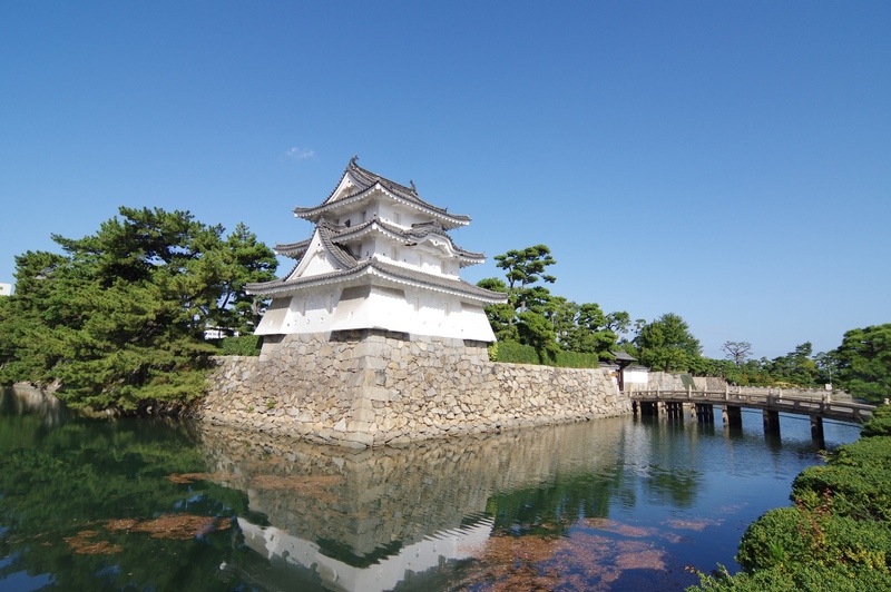 Takamatsu Castle Moat Fish Feeding