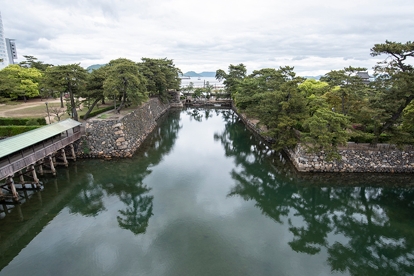 Takamatsu Castle Moat Fish Feeding