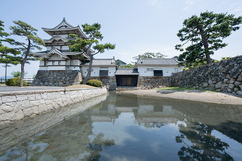 Takamatsu Castle Moat Fish Feeding