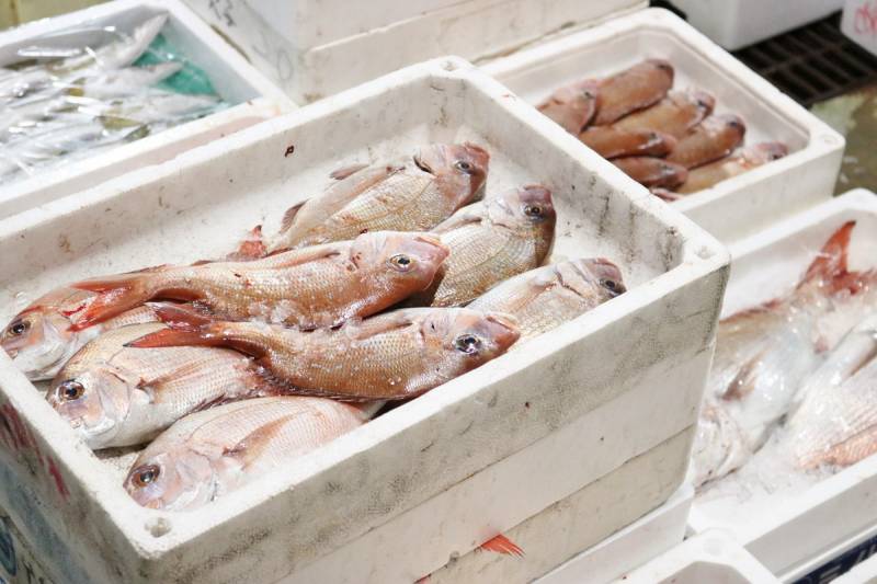 Takamatsu Fish Market