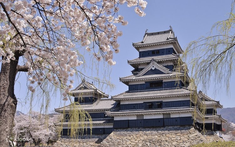 Takato Castle Ruins (Cherry Blossoms)