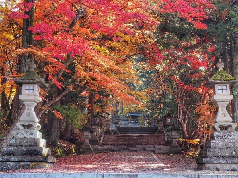 Takayama Autumn Festival