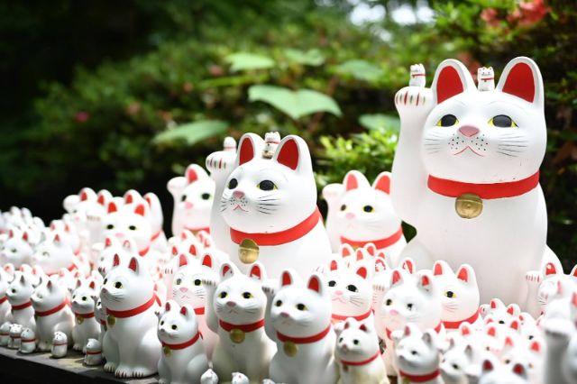 Takayama Station Lucky Cat Collection