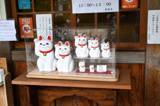 Takayama Station Lucky Cat Collection