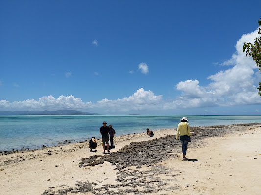 Taketomi Island Day Trip