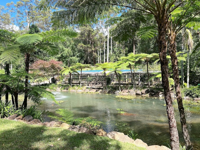 Tamborine Mountain